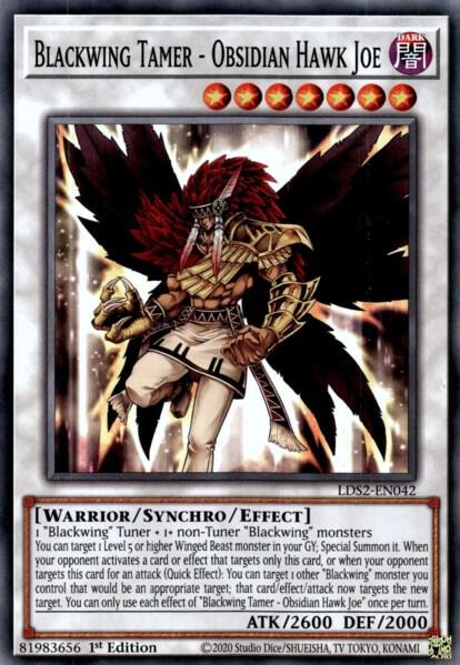 Blackwing Tamer - Obsidian Hawk Joe card image