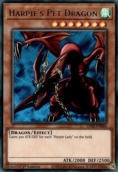 Harpie's Pet Dragon card image