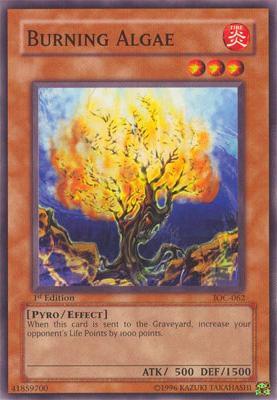 Burning Algae card image