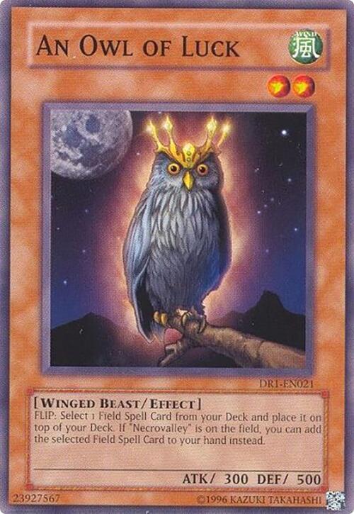 An Owl of Luck card image
