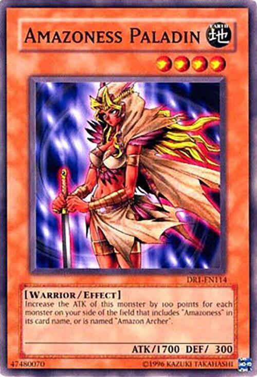 Amazoness Paladin card image