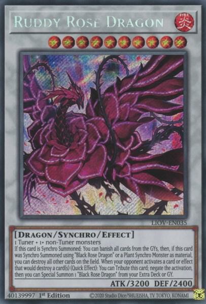 Ruddy Rose Dragon (1st Edition) card image