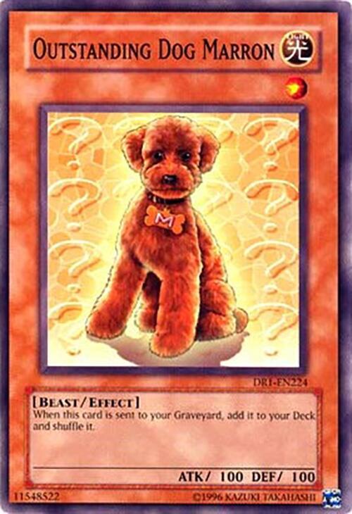 Outstanding Dog Marron card image