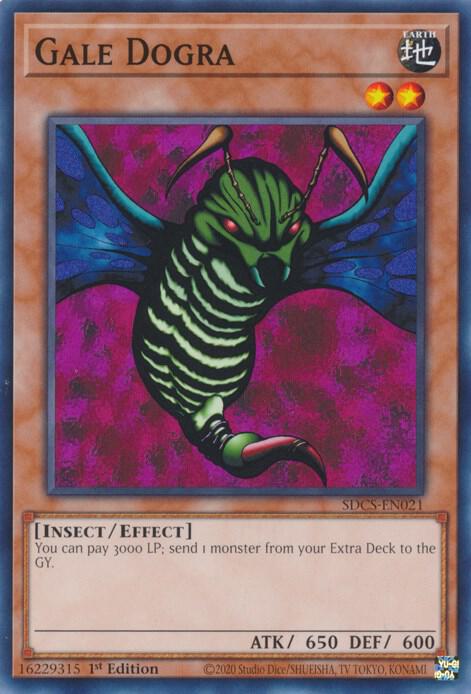 Gale Dogra card image