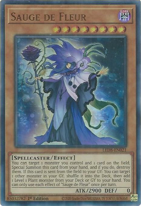 Sauge de Fleur card image