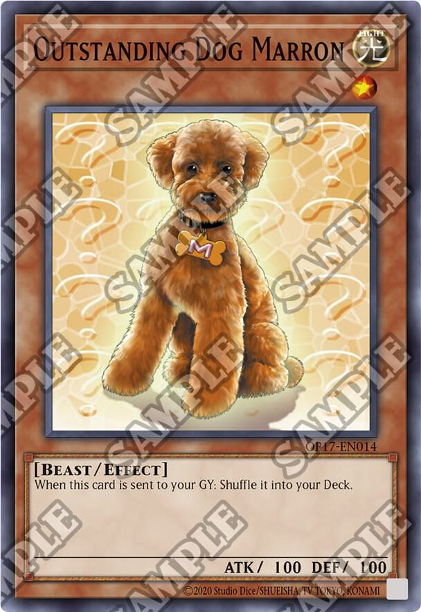 Outstanding Dog Marron card image