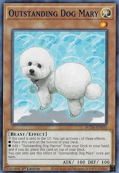 Outstanding Dog Mary (1st Edition) card image