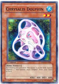 Chrysalis Dolphin card image