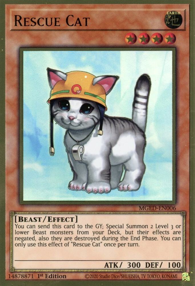 Rescue Cat card image