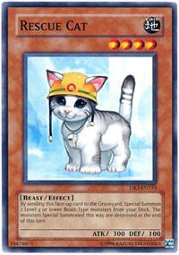Rescue Cat card image