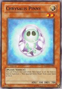 Chrysalis Pinny card image