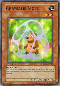 Chrysalis Mole card image