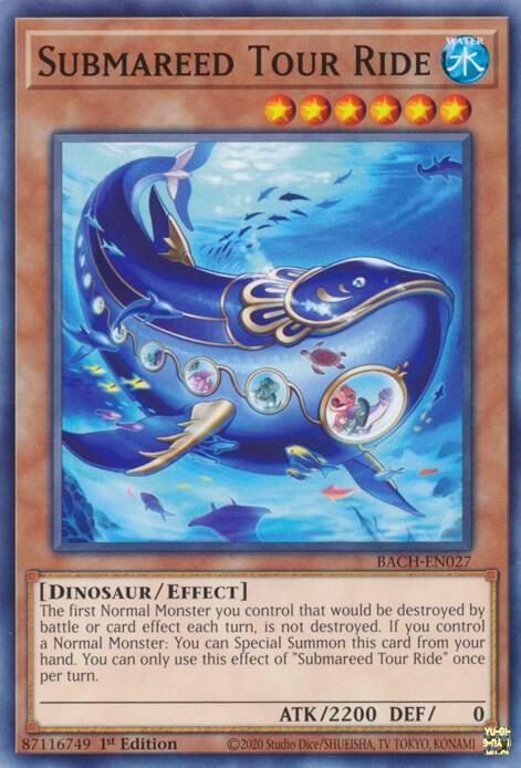 Submareed Tour Ride (1st Edition) card image