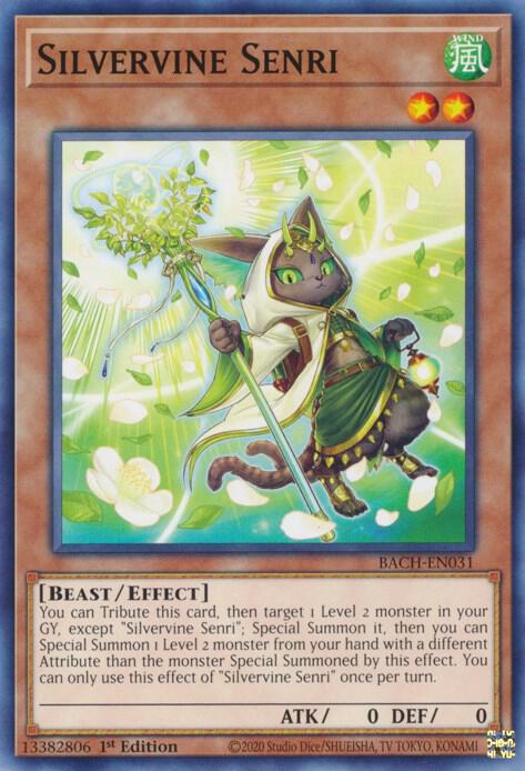Silvervine Senri (1st Edition) card image
