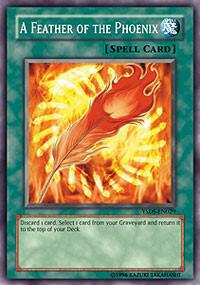 A Feather of the Phoenix (1st Edition) card image