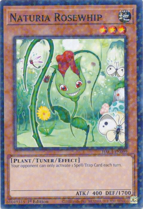 Naturia Rosewhip (Duel Terminal) (1st Edition) card image