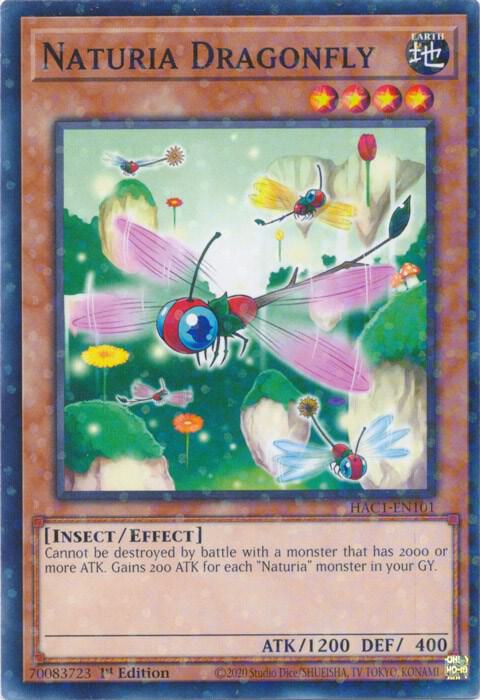 Naturia Dragonfly (Duel Terminal) (1st Edition) card image