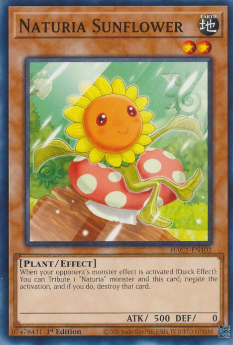 Naturia Sunflower card image