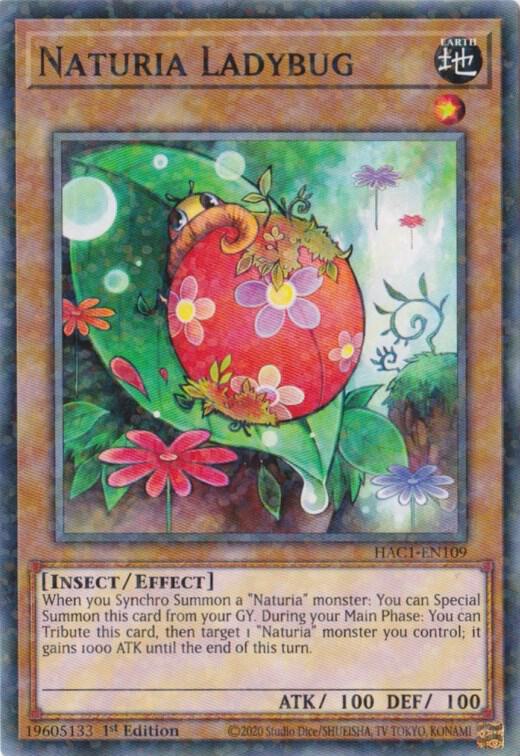 Naturia Ladybug (Duel Terminal) (1st Edition) card image