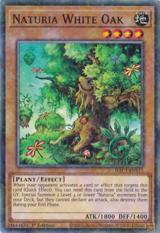 Naturia White Oak (Duel Terminal) (1st Edition) card image
