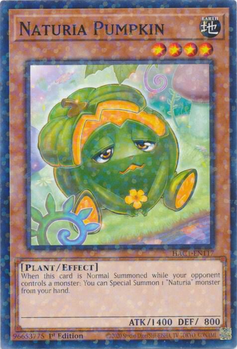 Naturia Pumpkin (Duel Terminal) (1st Edition) card image
