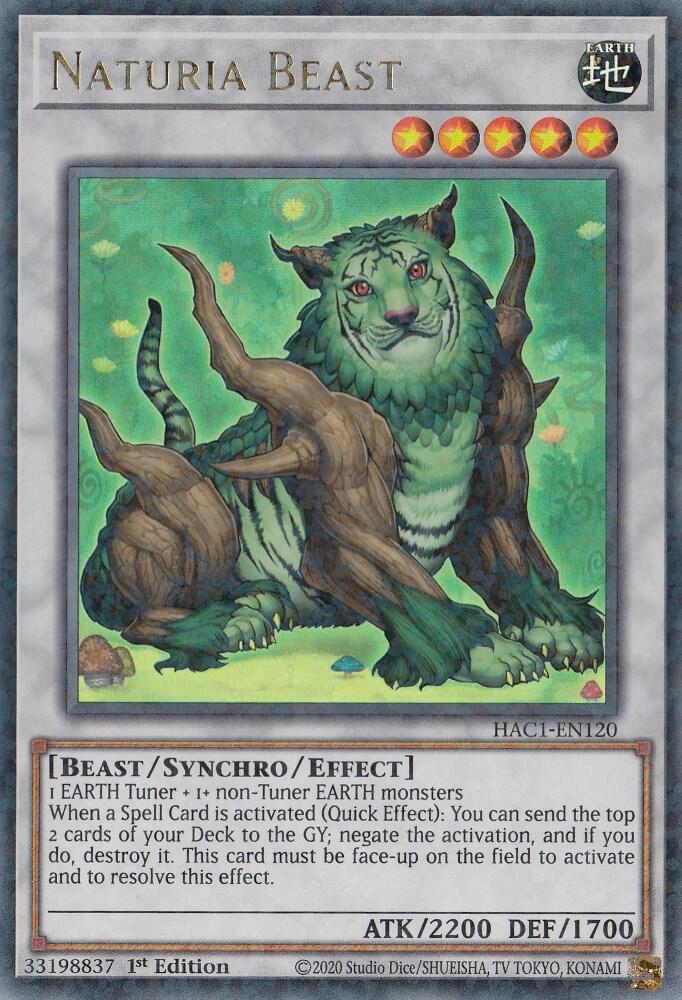 Naturia Beast (Duel Terminal) (1st Edition) card image