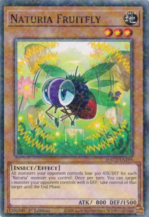 Naturia Fruitfly (Duel Terminal) (1st Edition) card image