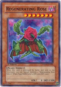 Regenerating Rose card image