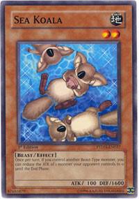 Sea Koala card image