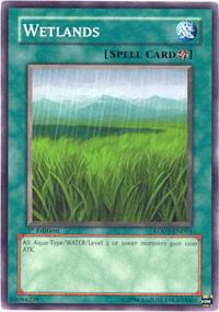 Wetlands card image