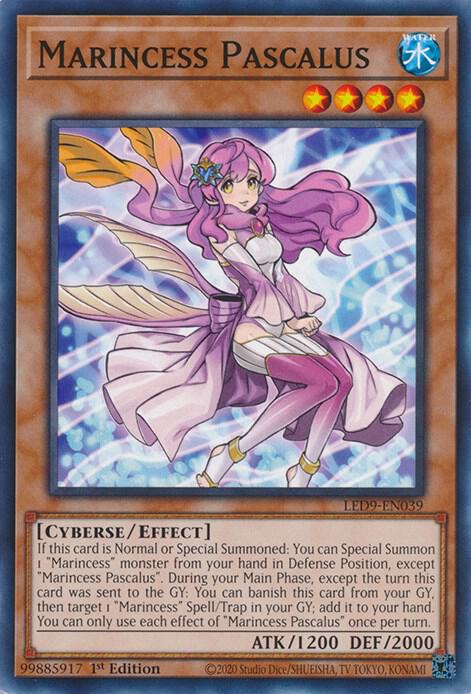 Marincess Pascalus (1st Edition) card image