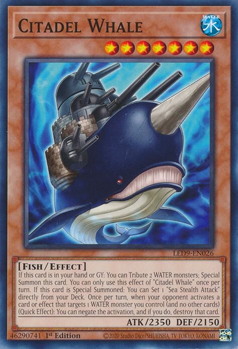 Citadel Whale (1st Edition) card image