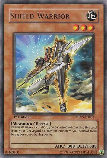 Shield Warrior card image