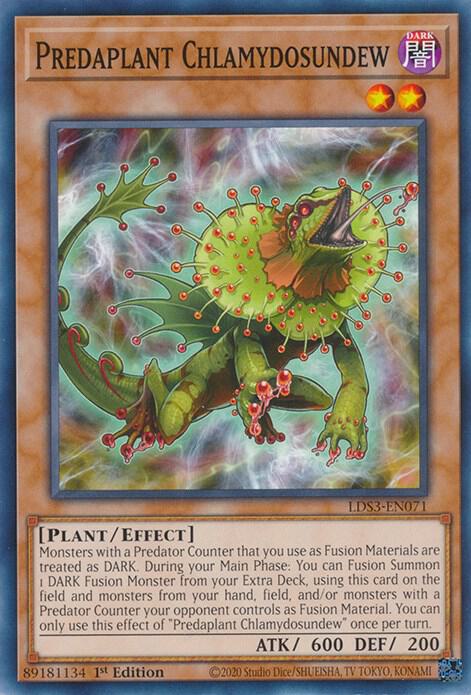 Predaplant Chlamydosundew card image