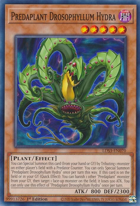 Predaplant Drosophyllum Hydra card image