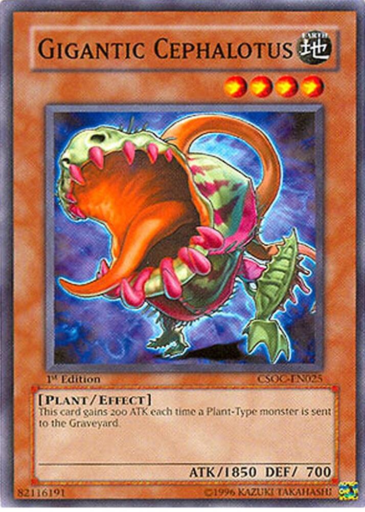 Gigantic Cephalotus card image