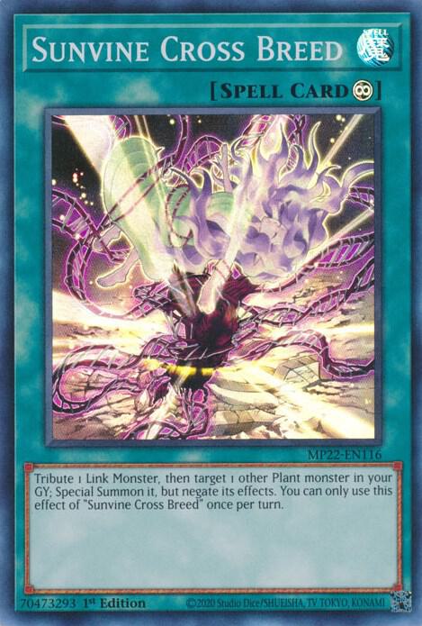 Sunvine Cross Breed card image