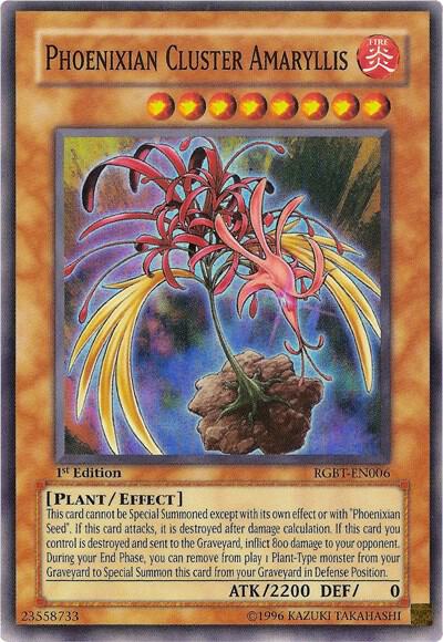 Phoenixian Cluster Amaryllis card image