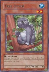 Tree Otter card image