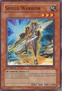 Shield Warrior card image