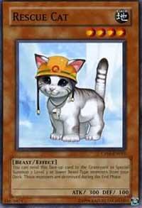 Rescue Cat card image