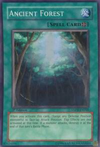 Ancient Forest card image