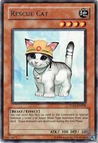 Rescue Cat card image