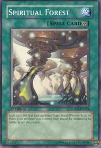 Spiritual Forest card image