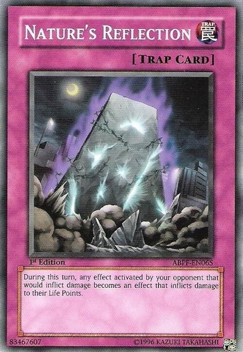 Nature's Reflection card image