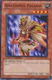 Amazoness Paladin card image