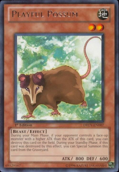 Playful Possum card image