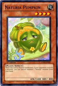 Naturia Pumpkin (1st Edition) card image