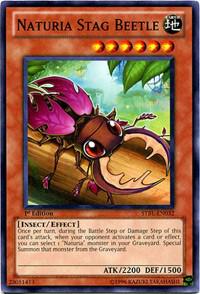 Naturia Stag Beetle (1st Edition) card image