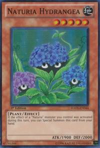 Naturia Hydrangea card image